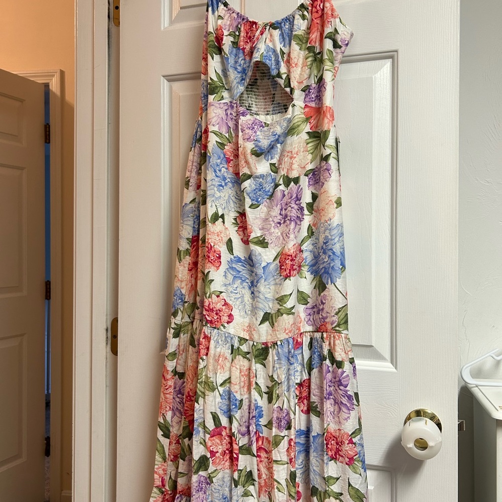 Express Floral Dress